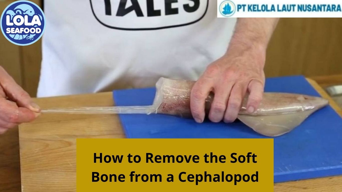 How to Remove the Soft Bone from a Cephalopod